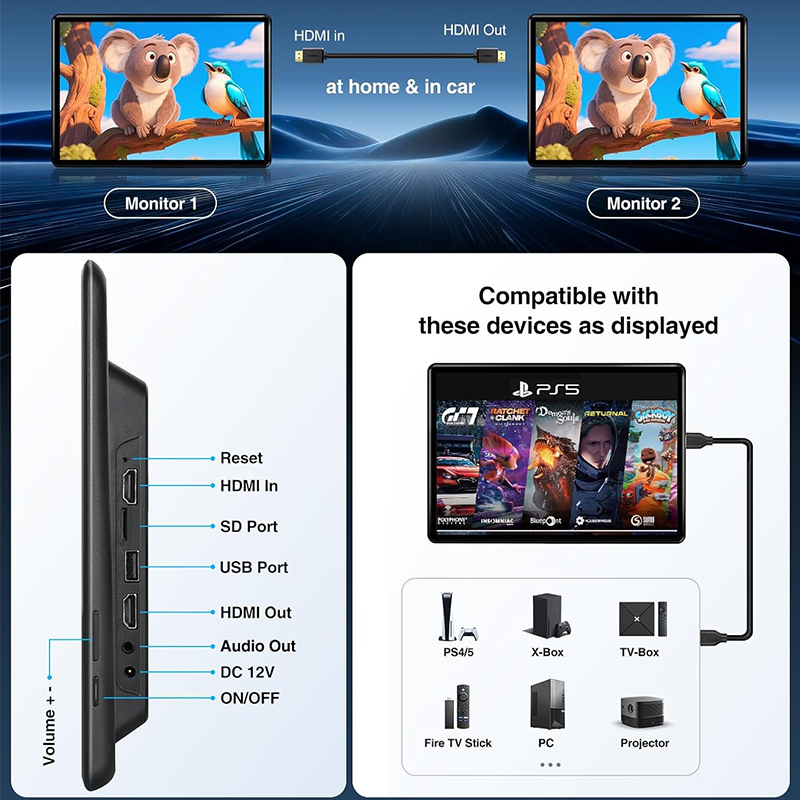 Car rear seat entertainment screen with HDMI and WiFi